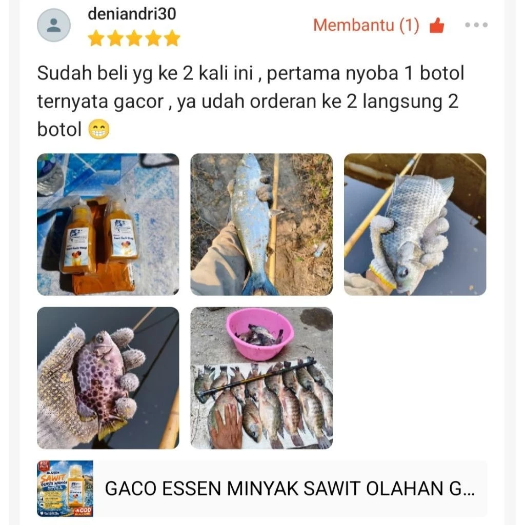 Testimoni GACO ESSEN
