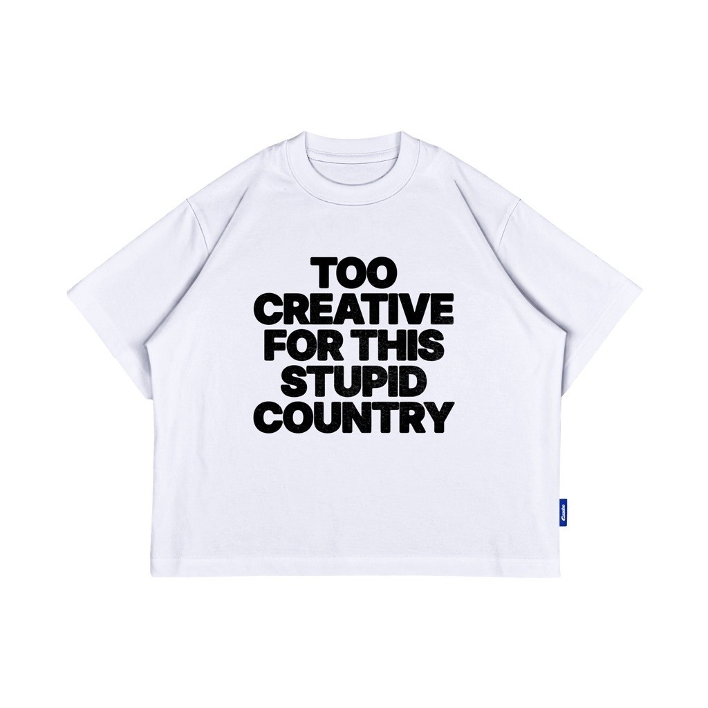 TOO CREATIVE FOR THIS STUPID COUNTRY