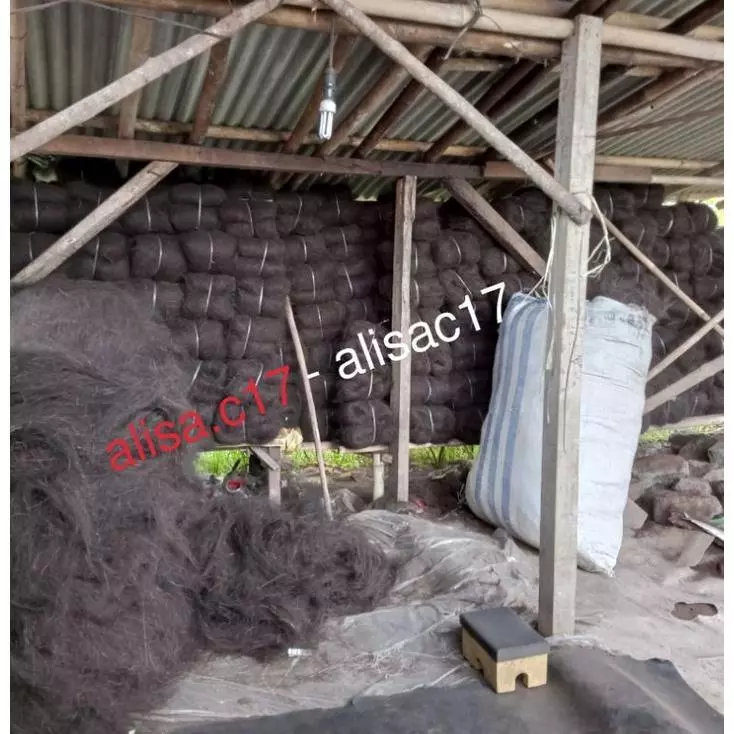 Jual Ijuk Surabaya