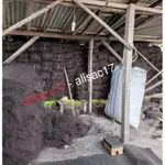 Promo COD Ijuk Aren Hitam Halus 1 Kg Kering Bersih Ijuk Resapan Ijuk Saringan Air Ijuk Asli Filter Ijuk Media...
