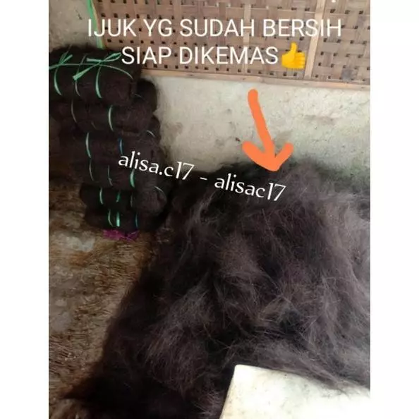 Jual Ijuk Surabaya