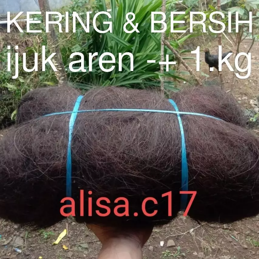 Jual Ijuk Resapan Air Surabaya