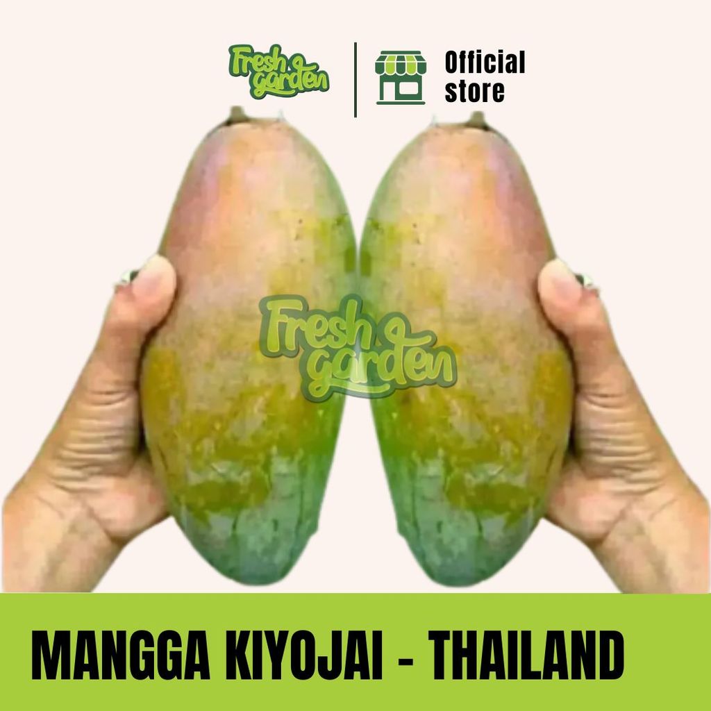 Jual MANGGA KIOJAY JUMBO MATANG – RAJA MANGGA ASAL THAILAND - SULTAN ...