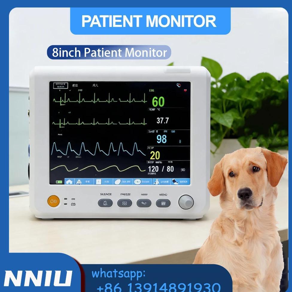 Jual Portable Patient Monitor 8-Inch Screen Human/Vet ECG/NIBP/SPO2 ST ...