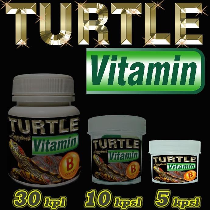 Jual Turtle Vitamin Bubuk Kapsul Suplemen Kesehatan Kura-Kura Air ...