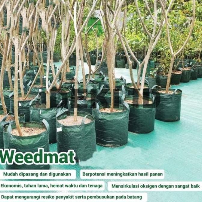 Jual Weedmat Roll Lebar 4 M x Panjang 50 M Hitam Hijau Terpal Green ...