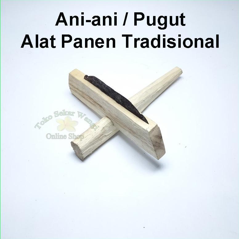 Jual Promo Cod Ani-Ani / Pugut / Ketam (Alat Panen Padi / Sayuran Dll ...