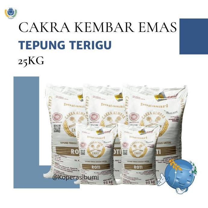 Jual Terigu 1 Karung Terlengkap & Harga Terbaru Juni 2026 | Shopee ...