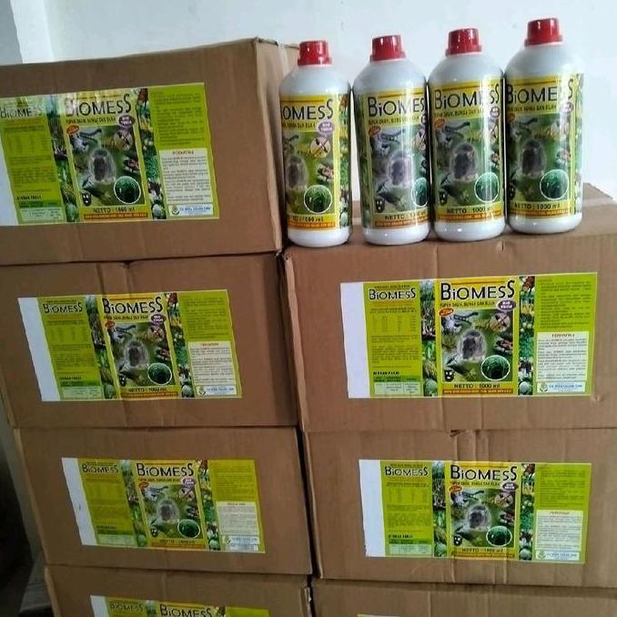 Jual Belalang Bunga Terlengkap & Harga Terbaru Mei 2026 | Shopee Indonesia