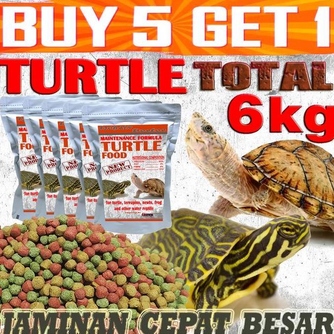 Jual MAKANAN KURA-KURA AIR BRAZIL RES CST DAMER DADA MERAH KURA AMBON ...