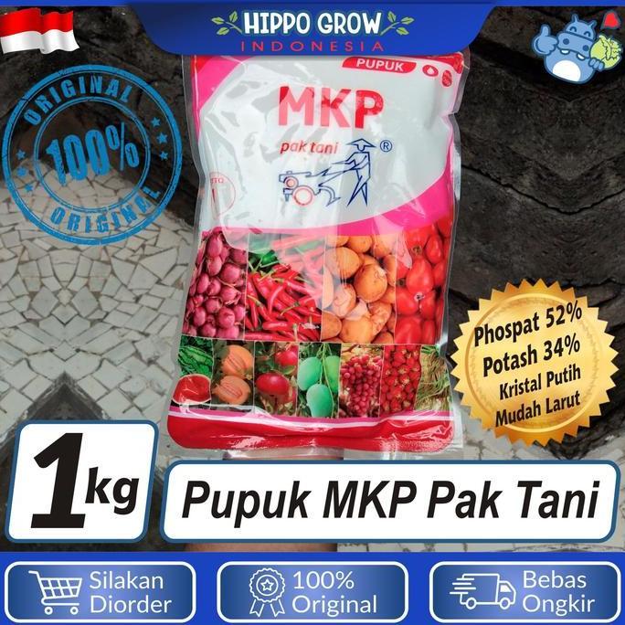 Jual Pupuk MKP Pak Tani Mono Kalium Pospat - Kemasan Asli Pabrik 1kg ...