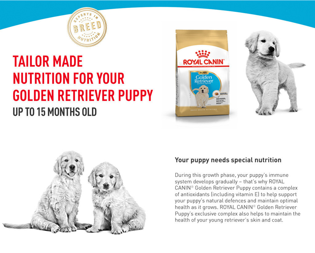 Puppy Dry Dog Dog Food For Golden Retrievers Golden Puppy Food