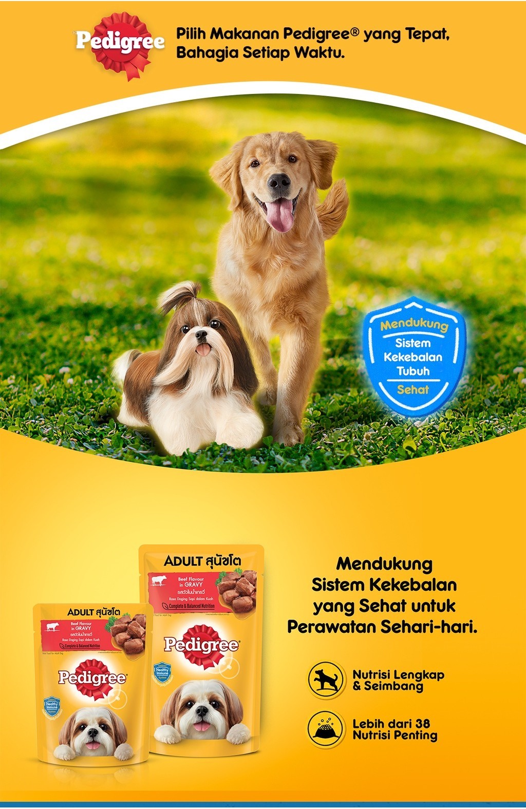 Jual PEDIGREE Makanan Anjing Basah Dewasa Pouch 80g (24-Pack) | Shopee ...