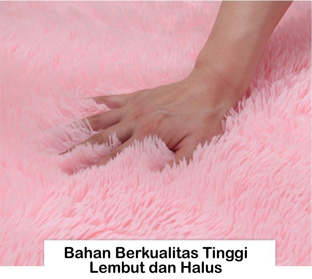 Jual Dreamhome Karpet Bulu Rasfur Lembut Tebal 90X150cm 120x180cm ...