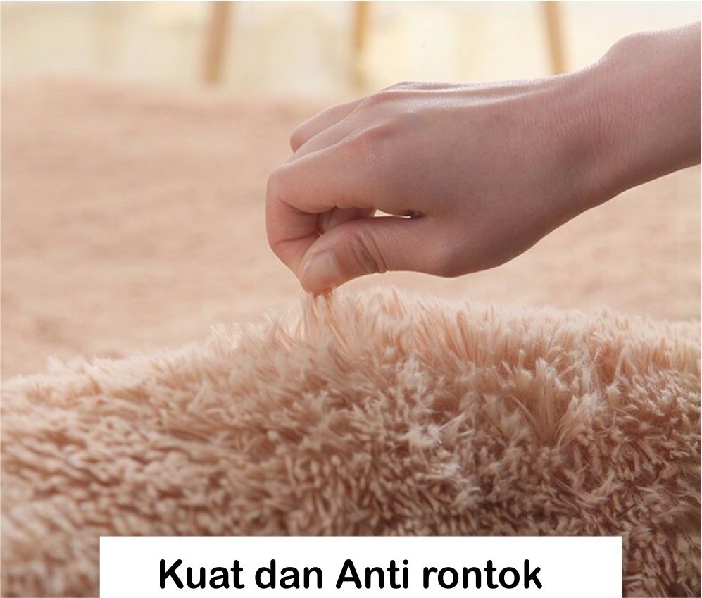 Jual Dreamhome Karpet Bulu Rasfur Lembut Tebal 90X150cm 120x180cm ...