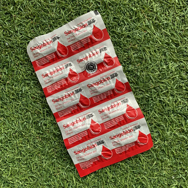 Jual Sangobion Kapsul @10 Capsule @4 Capsule Vitamin dan Suplemen Zat ...