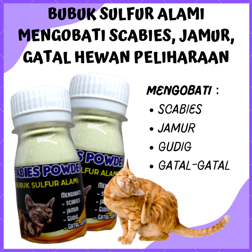 Jual SCABIES POWDER SULFUR SERBUK ALAMI MENGOBATI SCABIES JAMUR GATAL ...
