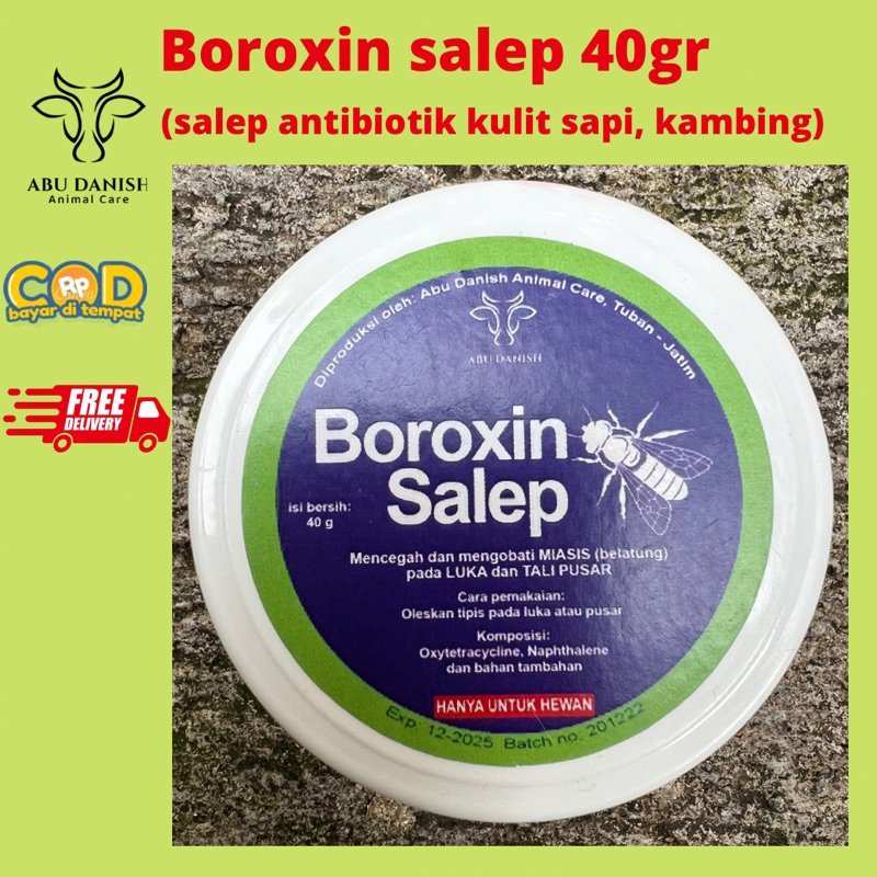 Jual Obat LSD Sapi Ampuh-penyakit Lato Lato Sapi-BOROXIN-Lumpy Skin ...