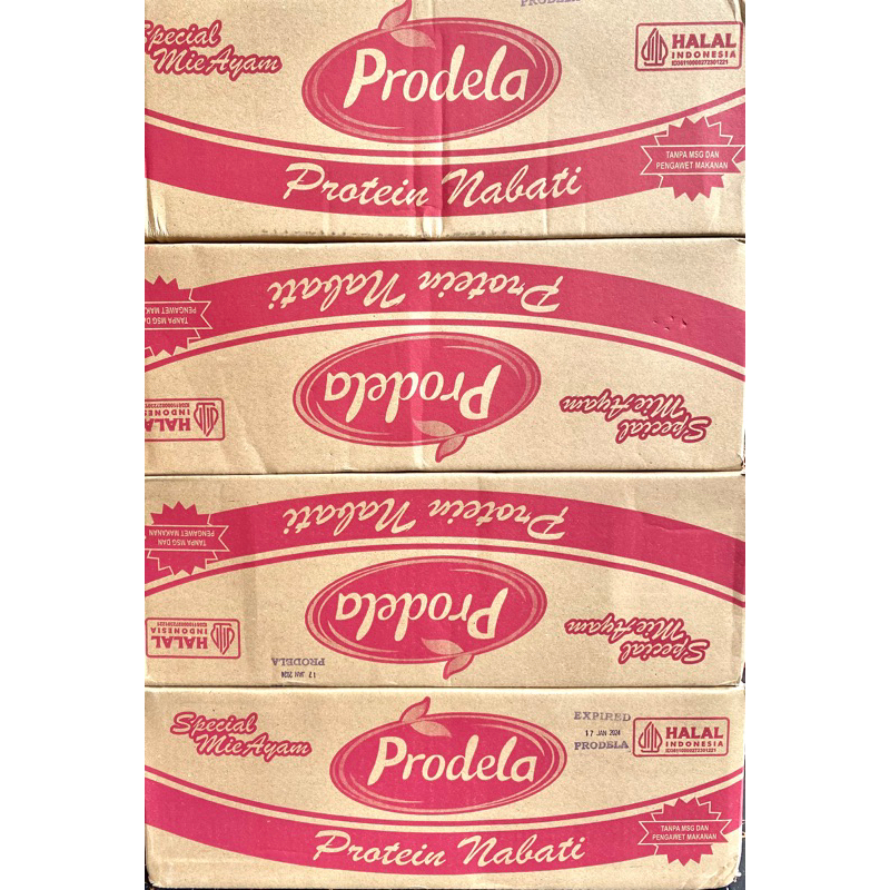 Jual Prodela/protein nabati/daging nabati Isi 24 Pcs/Prodela / Plant ...