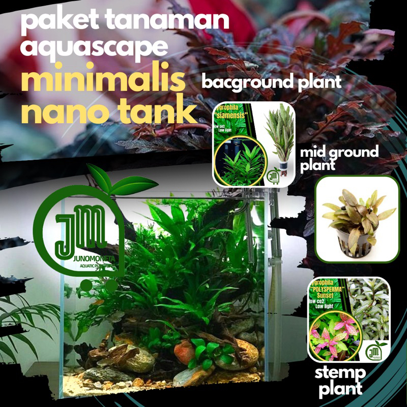 Jual Paket Nano Tank Paket Tanaman Aquascape Tanpa Co Tanaman Aquascape Tumbuhan Aquarium