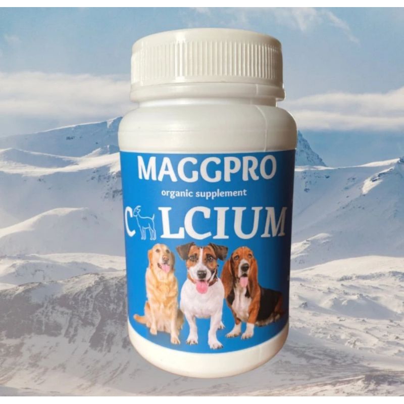 Jual Magprofeed MAGGPRO Vitamin Penambah Imun Nafsu Makan Kucing dan ...