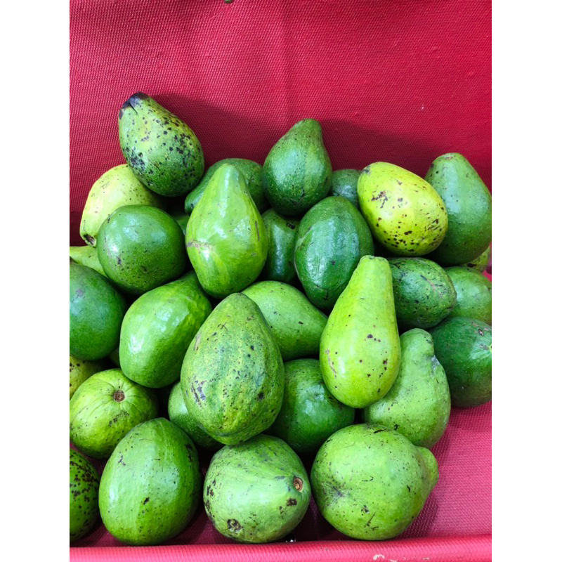 Jual Alpukat 1 kg | Shopee Indonesia