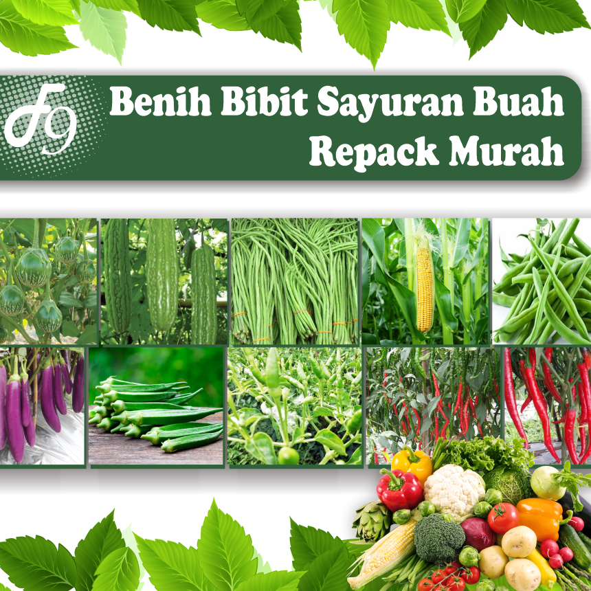 Benih Bibit Sayuran Buah Lengkap Murah Repack Seribuan