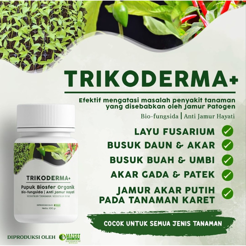 Jual Pupuk Trikoderma Beli 3 Gratis 1 Alfagreen Bio Fungisida Tricoderma Plus Pupuk Biosfer 