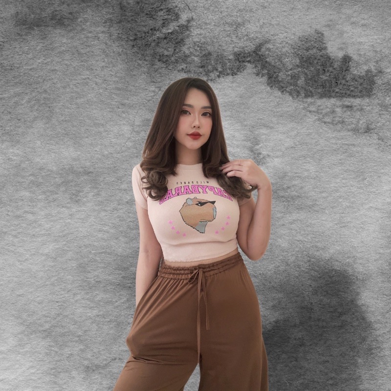Jual Crop Top Wanita CAPYBARAS (LD 88, P 40) | Shopee Indonesia