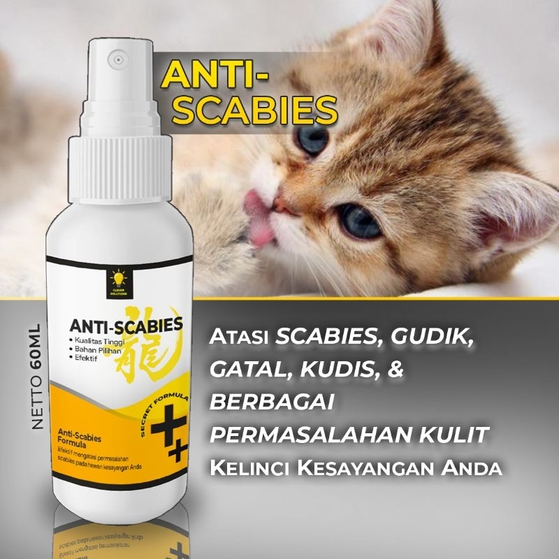 Jual Obat Jamur Kucing Kelinci Scabies Demodex Impetigo Jamur Kutu ...