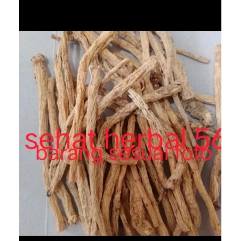 Jual Dang Shen / Tong SIM / Tang sem tongsem 1kg | Shopee Indonesia