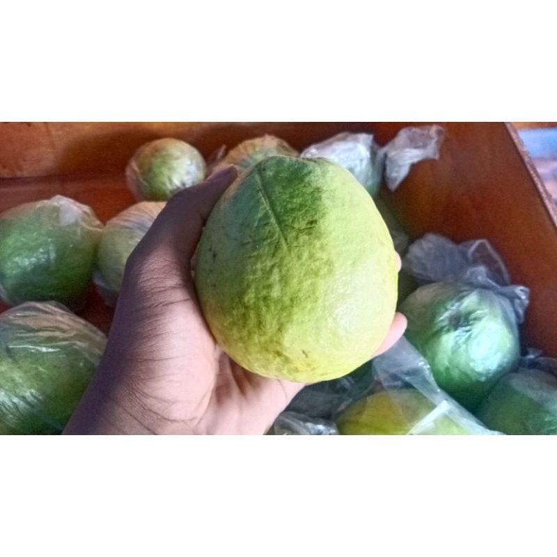 Jual Jambu Biji Merah Besar 1 KG (REGULER & KARGO) | Shopee Indonesia