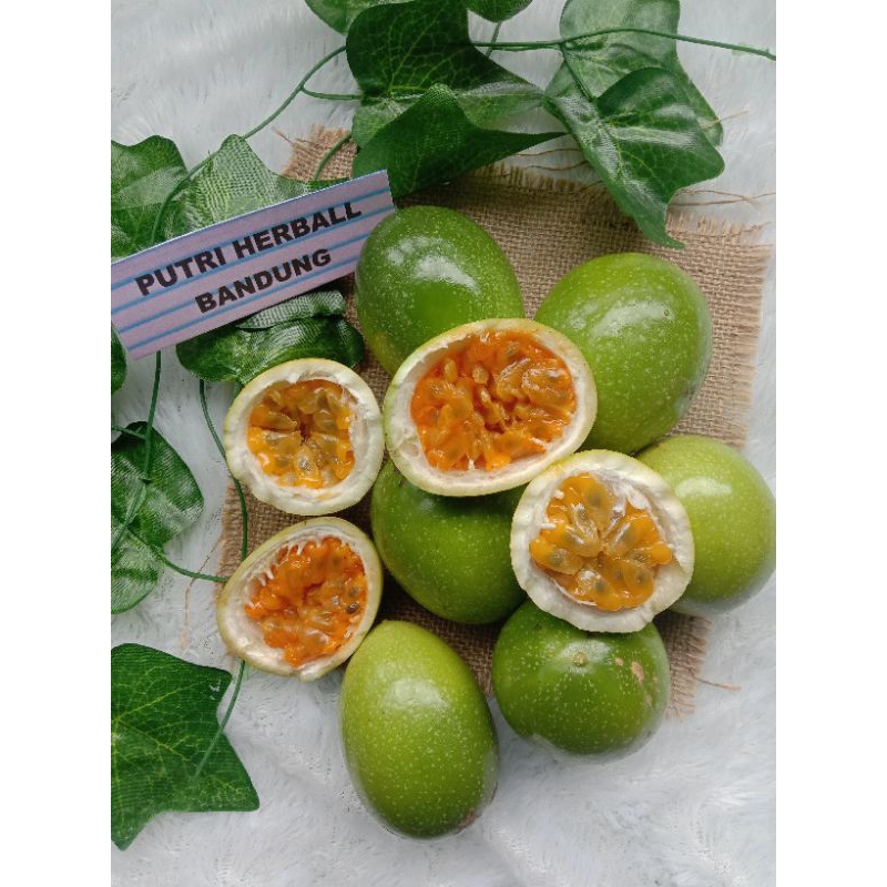 Jual Buah Markisa Atau Saprola Asam Segar Cocok Di Buat Sirup Shopee