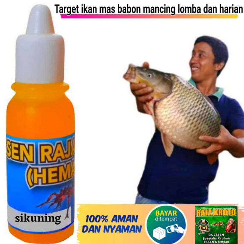 Jual Essen Ikan Mas Terbaik Mancing Ikan Mas Aroma Durian Paling Ampuh