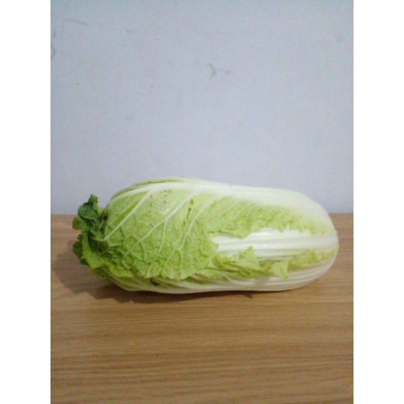 Jual Sawi 1 biji | Shopee Indonesia