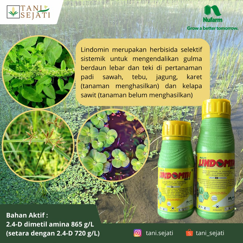 Jual Lindomin 865 SL | Hebisida Sistemik | Herbisida Selektif ...