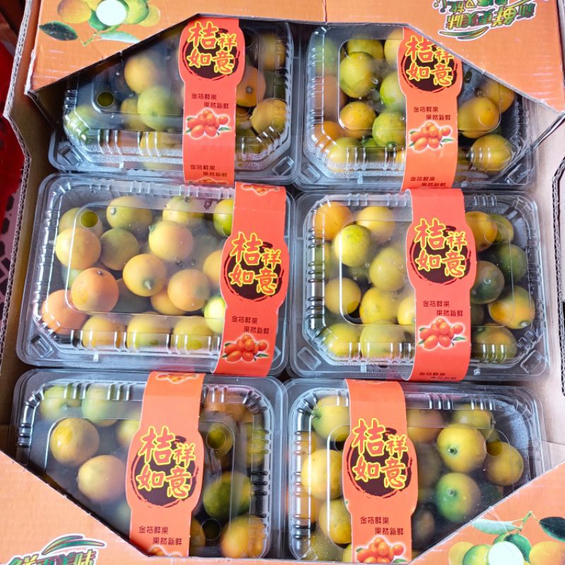 Jual Jeruk kimkit bisa di makan sama kulitnya | Shopee Indonesia