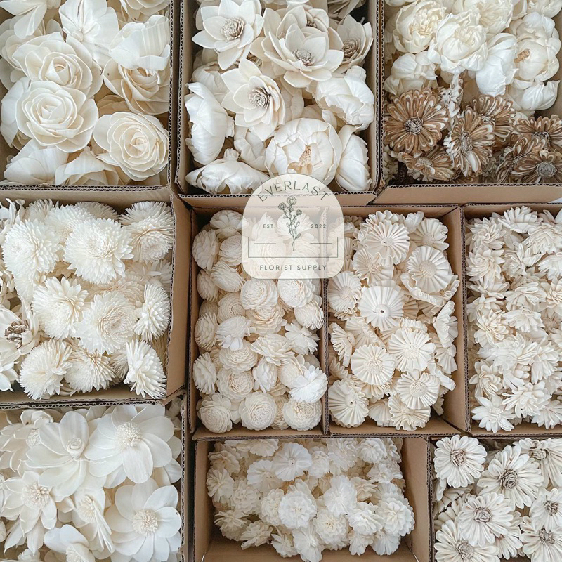 Jual Sola Wood Flower 8 - 8,5cm / Bunga Kayu Sola 8 - 8,5cm | Shopee ...
