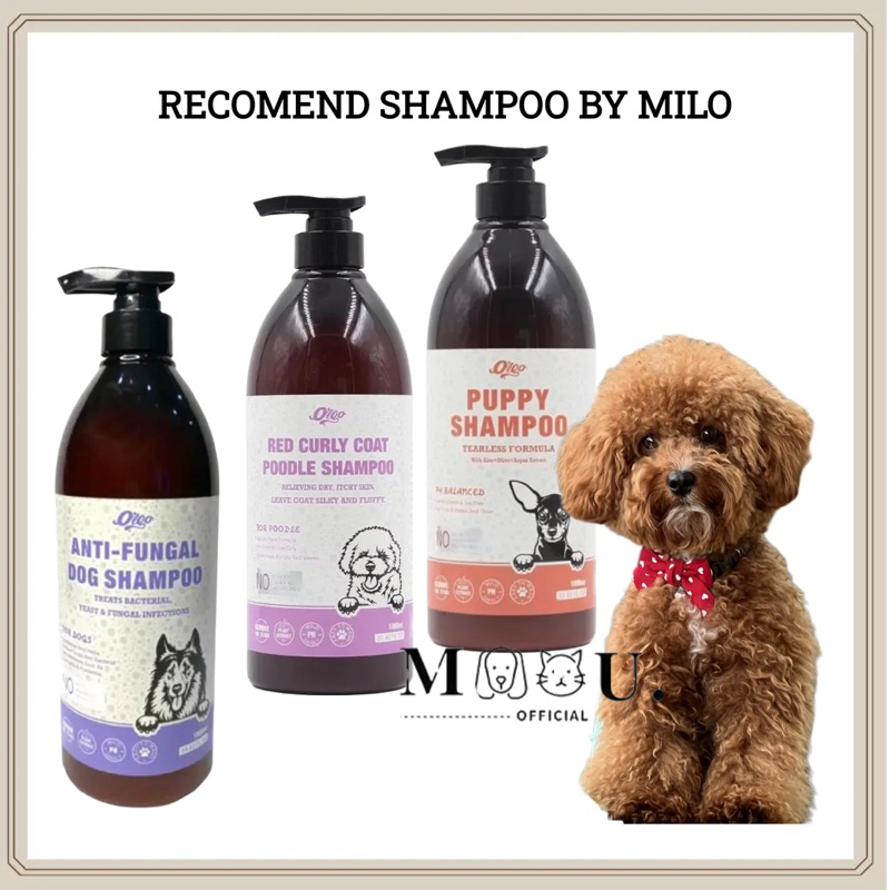Jual moou - Orgo Red Curly/ Puppy/ Anti Fungal Shampoo 1000Ml( Super ...