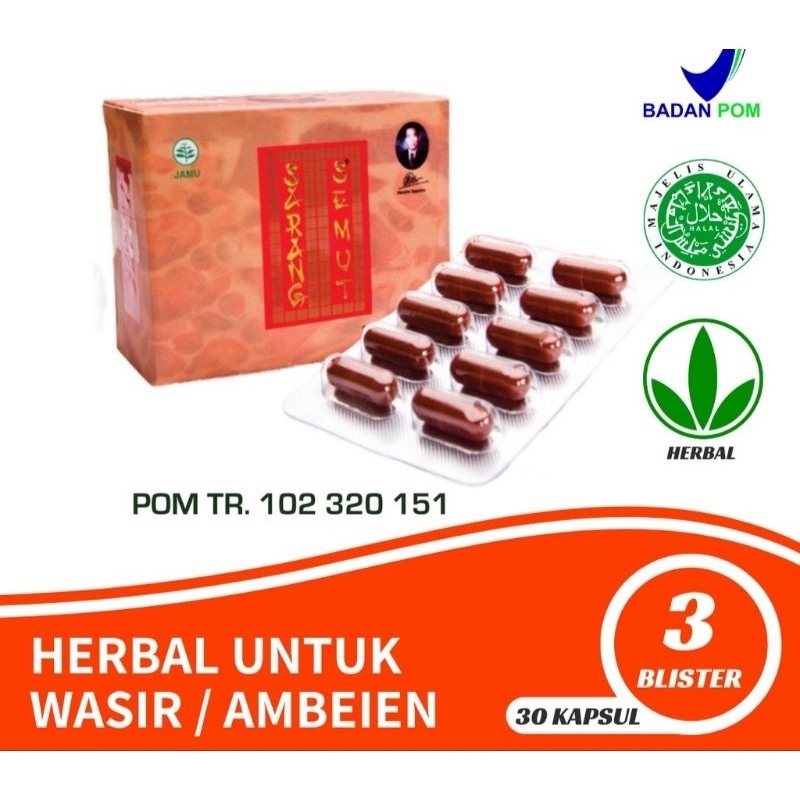 Jual Sarang semut kapsul prima solusi medikal asli Papua isi30 herbal