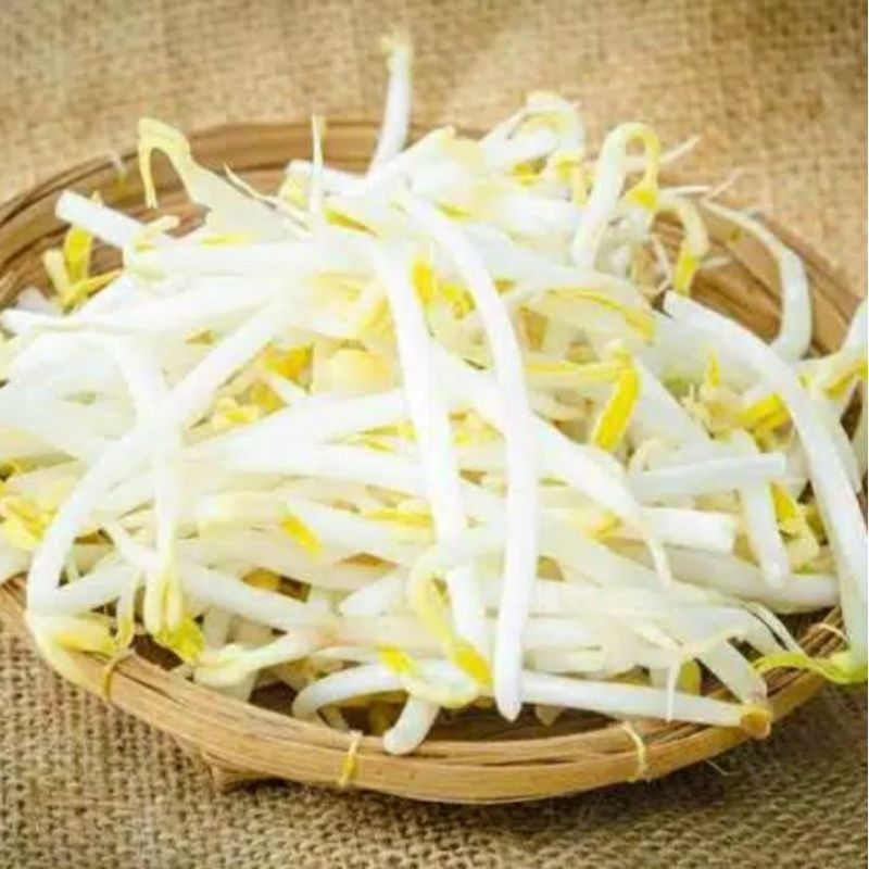 Jual TOGE 250 gr | Shopee Indonesia
