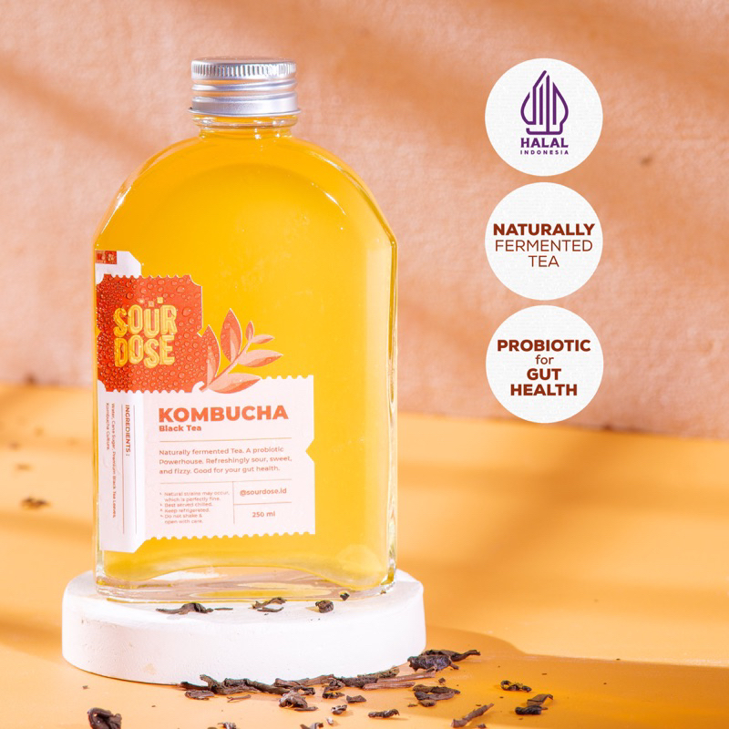 Jual Kombucha Black Tea 250ml by Sourdose Shopee Indonesia
