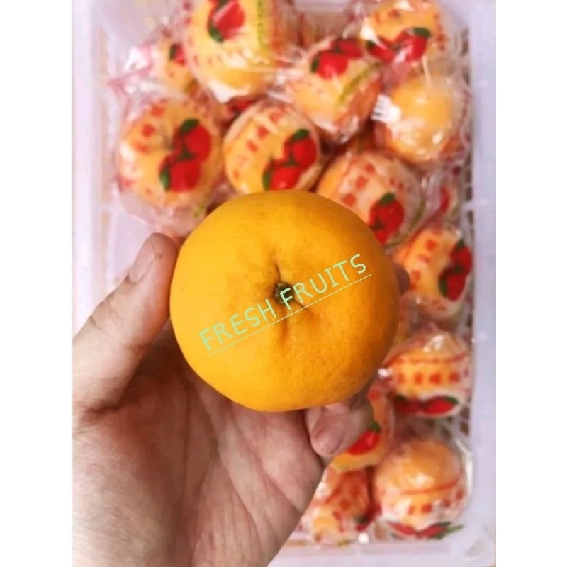 Jual Buah Jeruk Ponkam Premium Jeruk Mandarin Import Impor 500gr