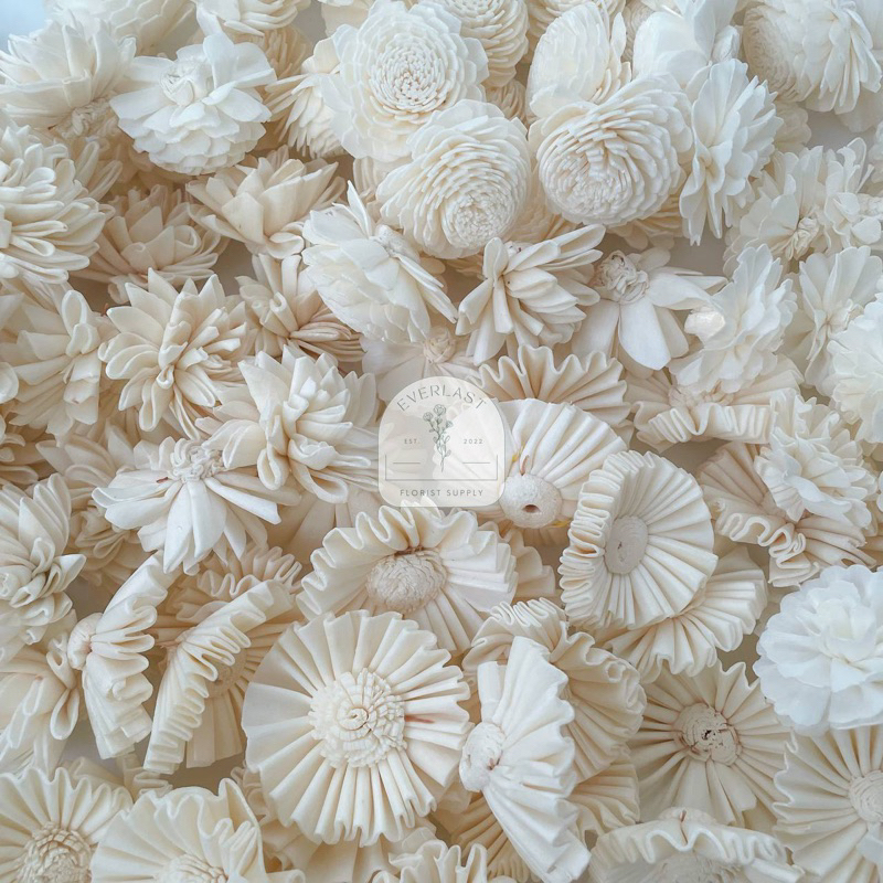 Jual Sola Wood Flower 4,5 - 5cm / Bunga Kayu Sola 4,5 - 5cm | Shopee ...
