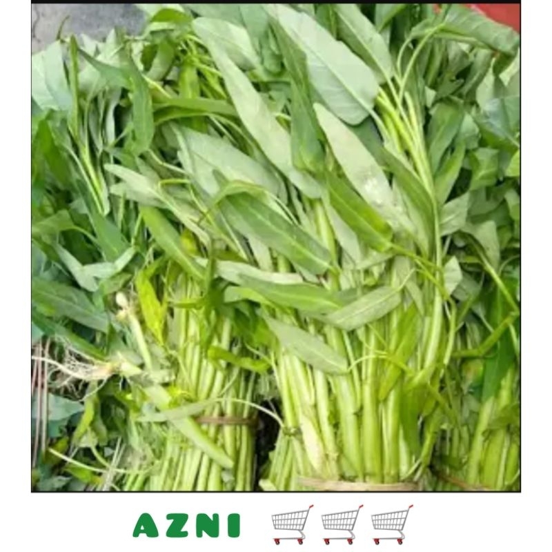 Jual Sayur Kangkung Per 1 Ikat Shopee Indonesia