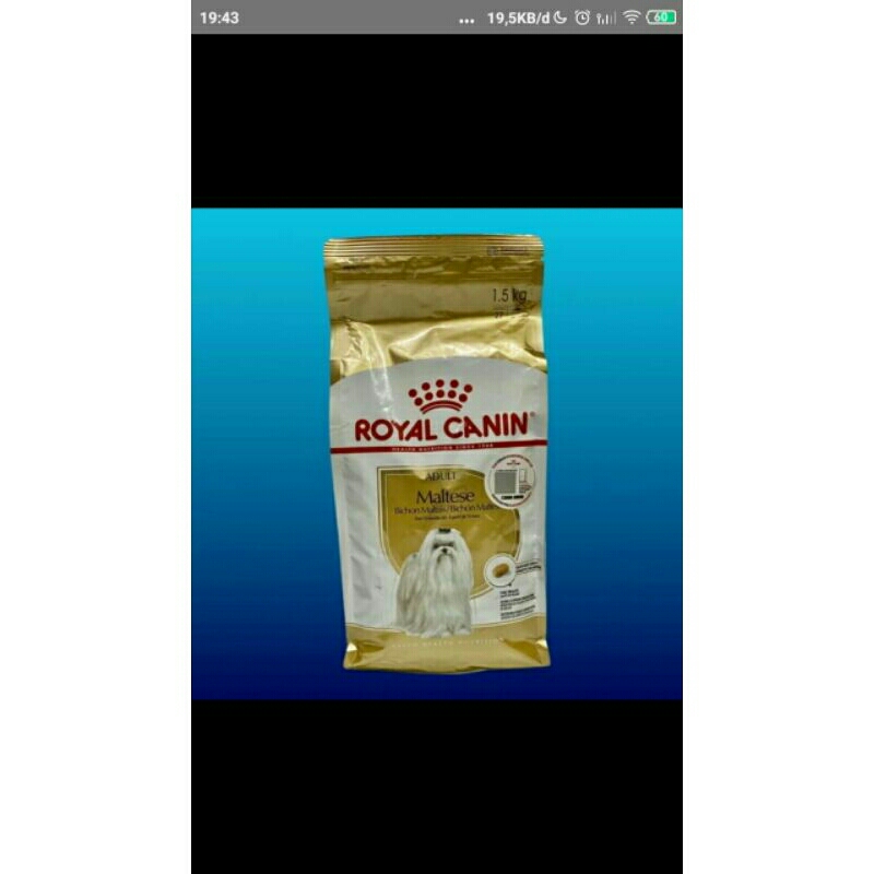 Jual Royal Canin Maltese Adult 1,5 kg | Shopee Indonesia