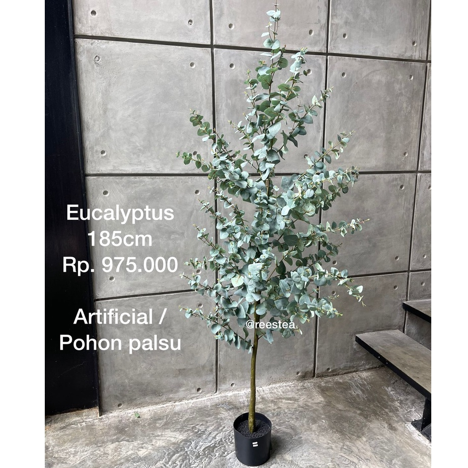 Jual Pohon Eucalyptus Tinggi Cm Pohon Hias Palsu Artificial Plant Shopee Indonesia