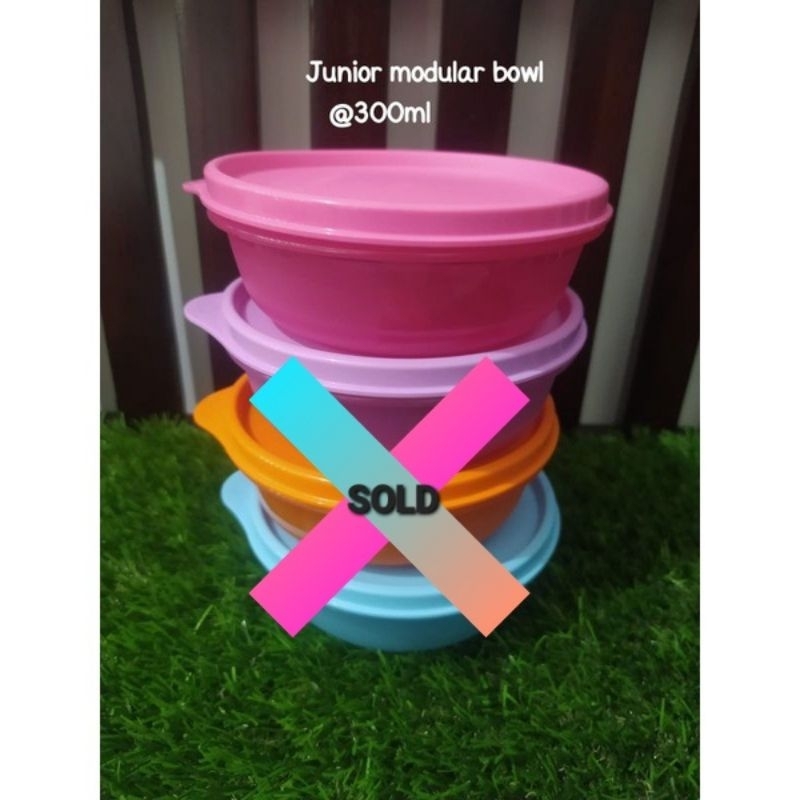 Jual Tupperware Junior Modular Bowl Full Pink | Shopee Indonesia