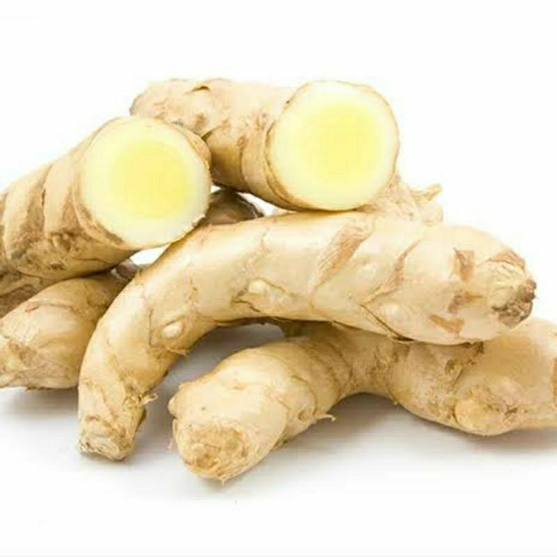 Jual Temu mangga /temuputih /temu poh /kunyitputih TEMURAH 100gr/ 500gr ...