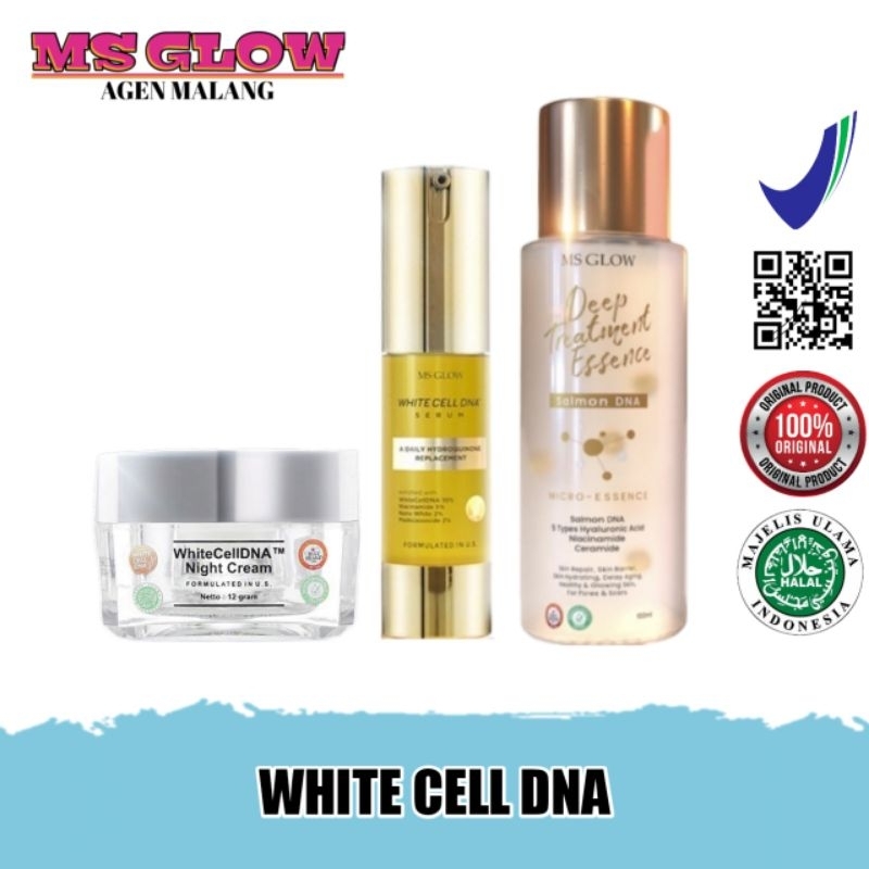 Jual MS Glow Serum White Cell DNA / Night Cream White Cell DNA / DTE ...